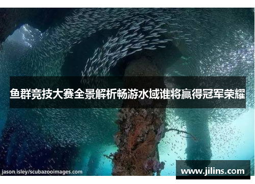 鱼群竞技大赛全景解析畅游水域谁将赢得冠军荣耀